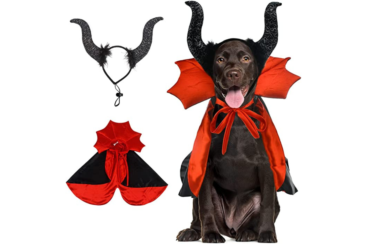 Disfraz de diablo para perros 